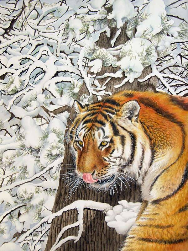 Panthera Tigris Altaica